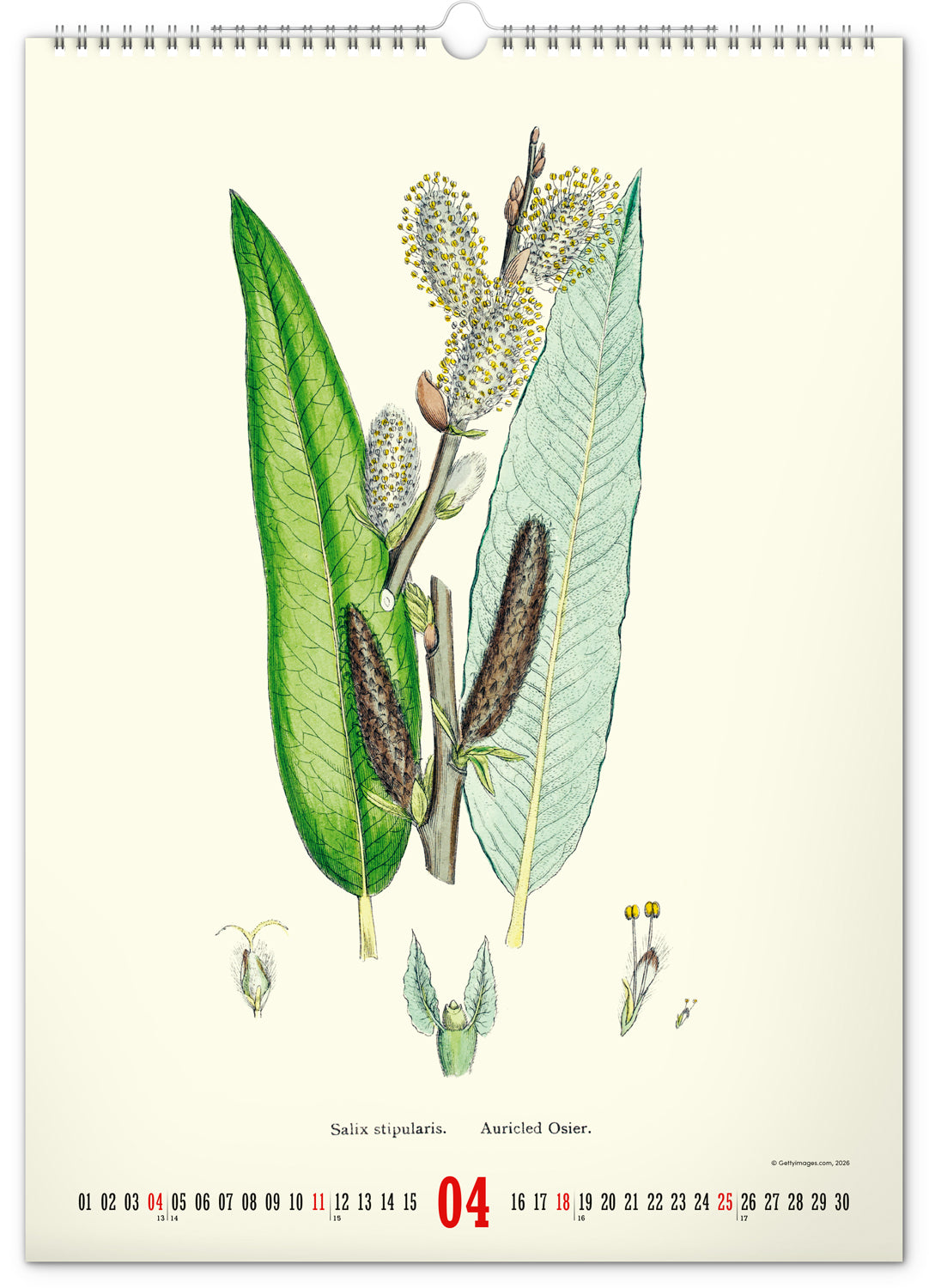 Nástenný kalendár Vintage plagáty – herbár 2027, 33 x 46 cm