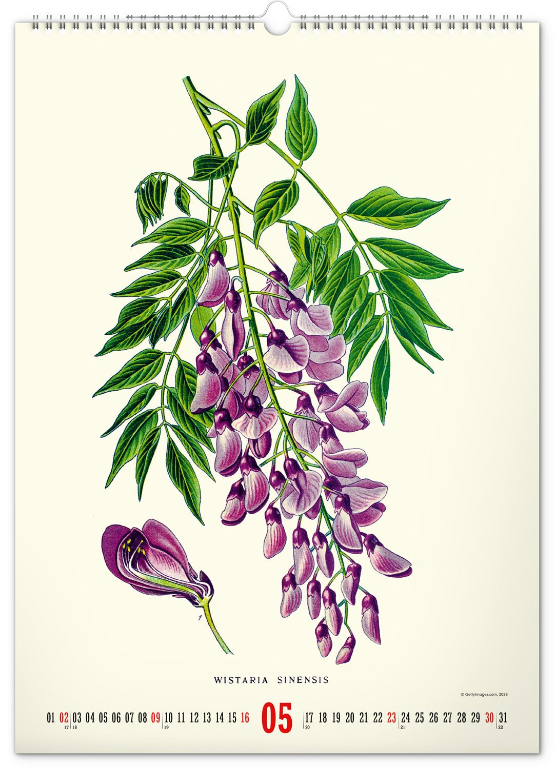 Nástenný kalendár Vintage plagáty – herbár 2027, 33 x 46 cm