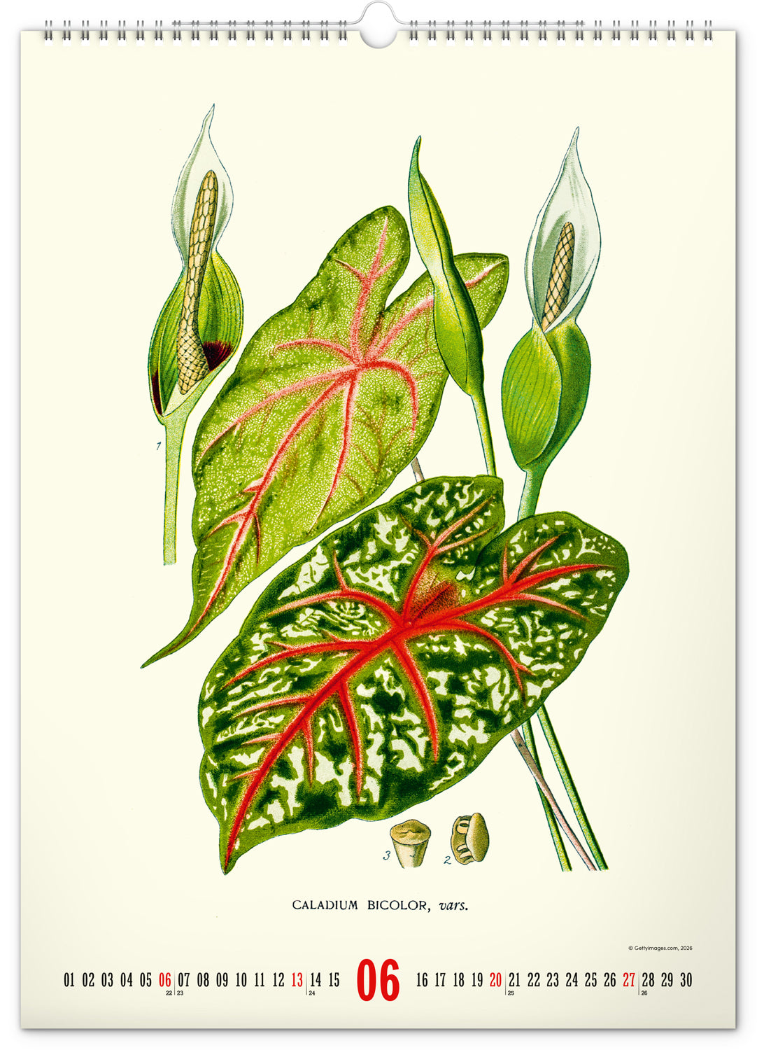 Nástenný kalendár Vintage plagáty – herbár 2027, 33 x 46 cm