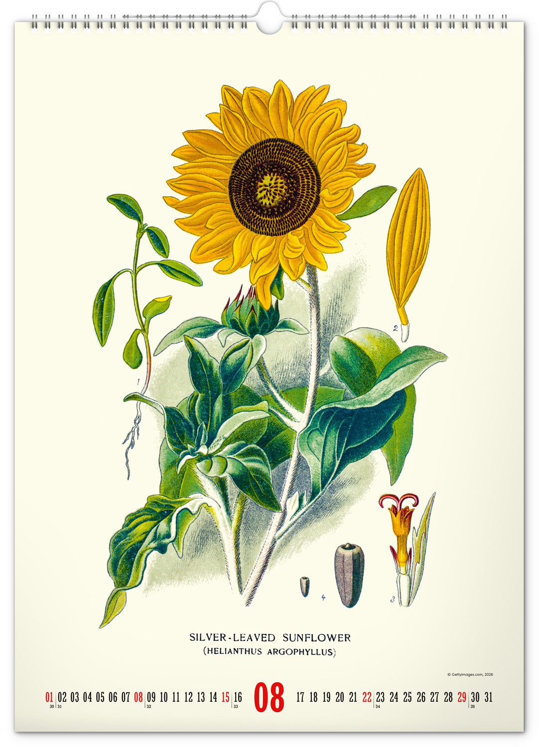 Nástenný kalendár Vintage plagáty – herbár 2027, 33 x 46 cm
