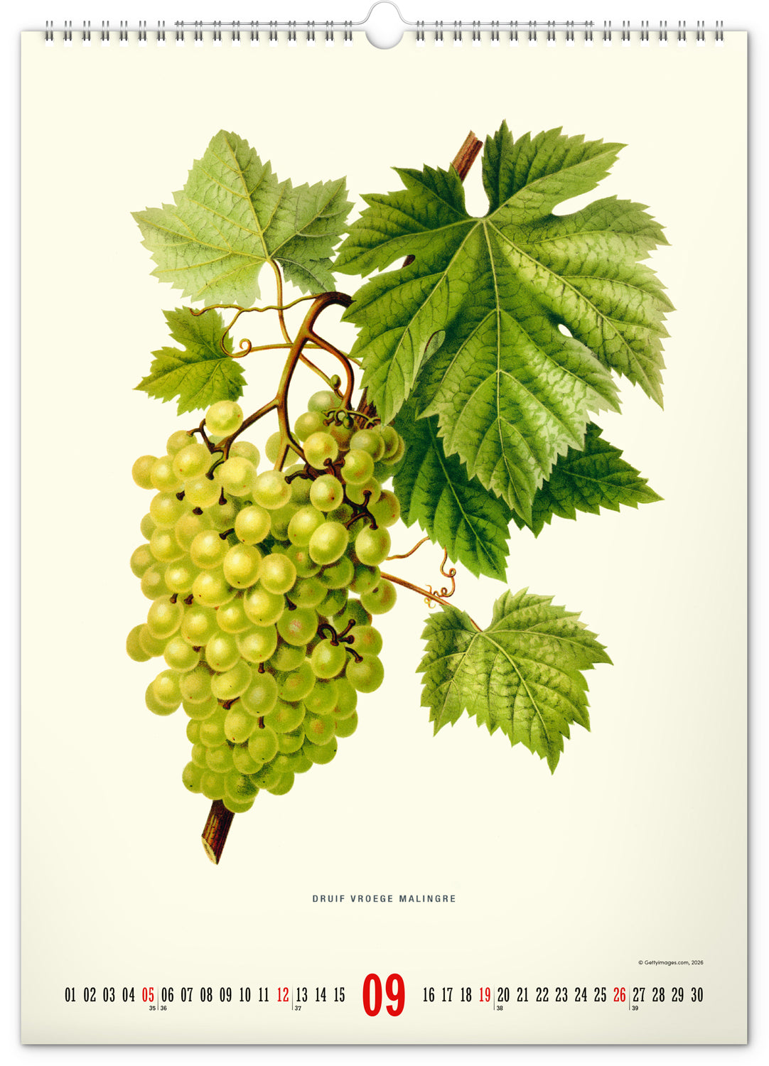 Nástenný kalendár Vintage plagáty – herbár 2027, 33 x 46 cm