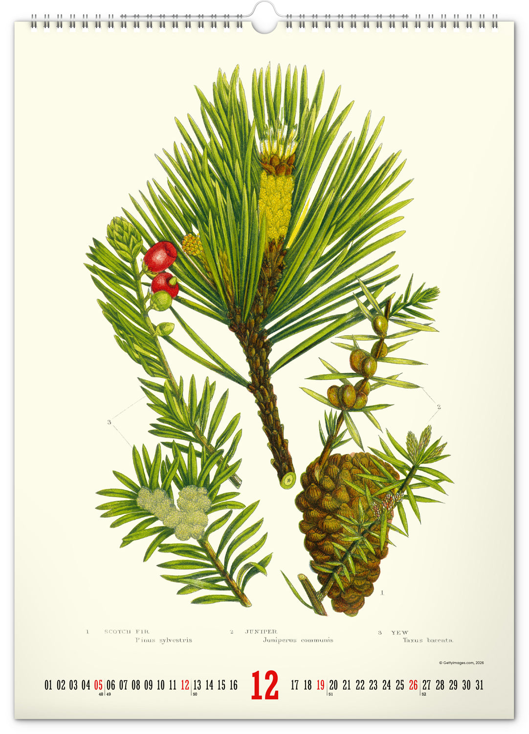 Nástenný kalendár Vintage plagáty – herbár 2027, 33 x 46 cm