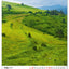 Nástenný kalendár Národné parky Slovenska 2027, 33 x 46 cm