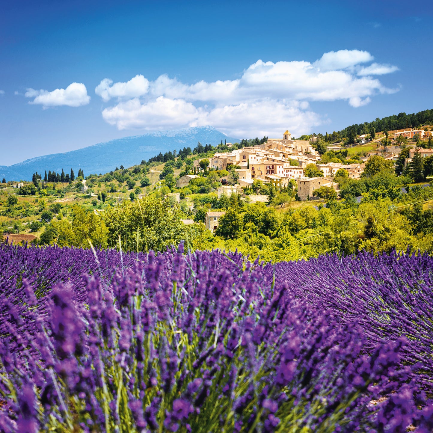 Poznámkový kalendár Provence 2026, 30 x 30 cm