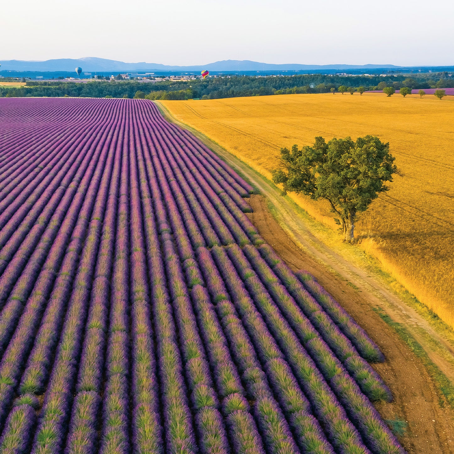 Poznámkový kalendár Provence 2026, 30 x 30 cm