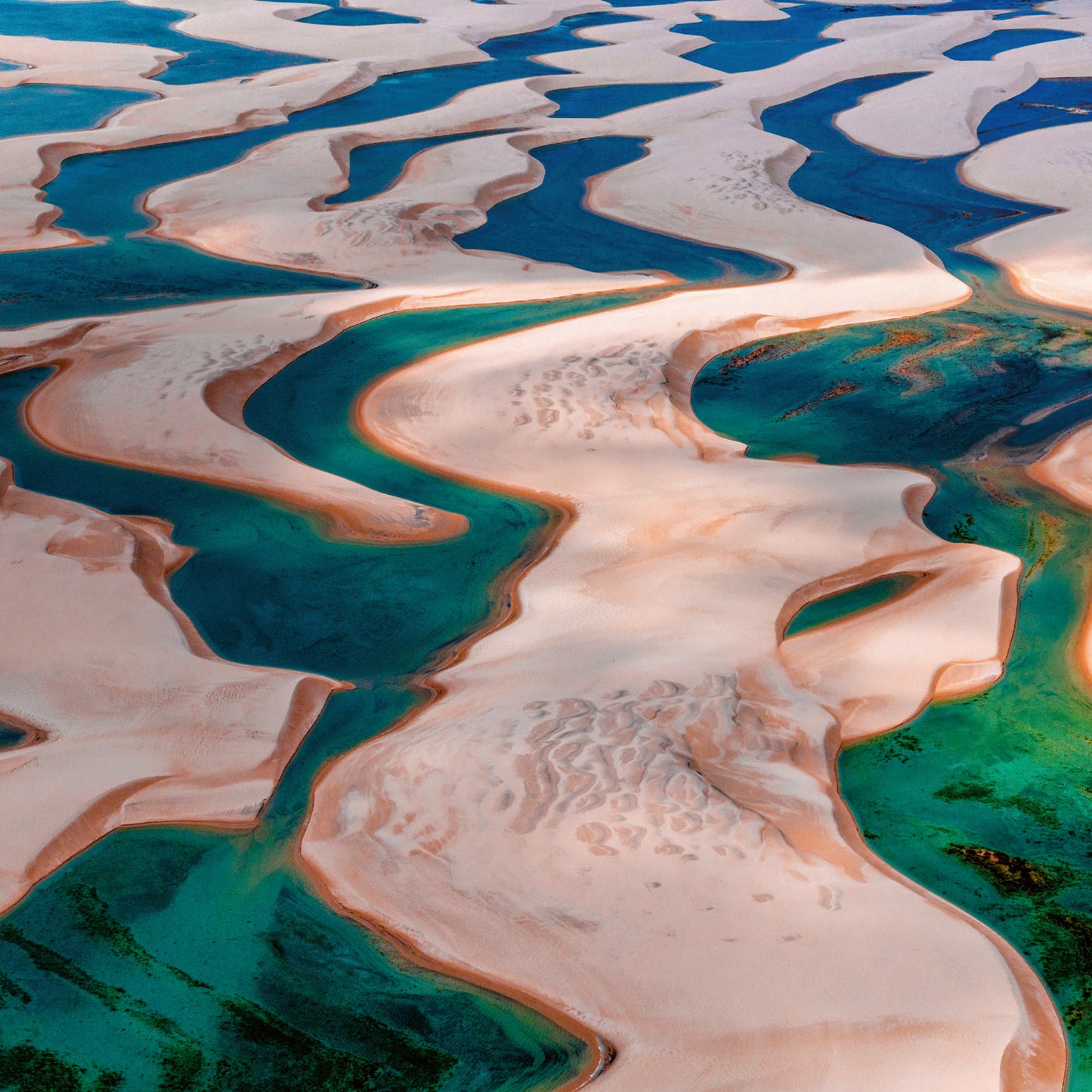 Poznámkový kalendár Naša planéta 2026, 30 x 30 cm