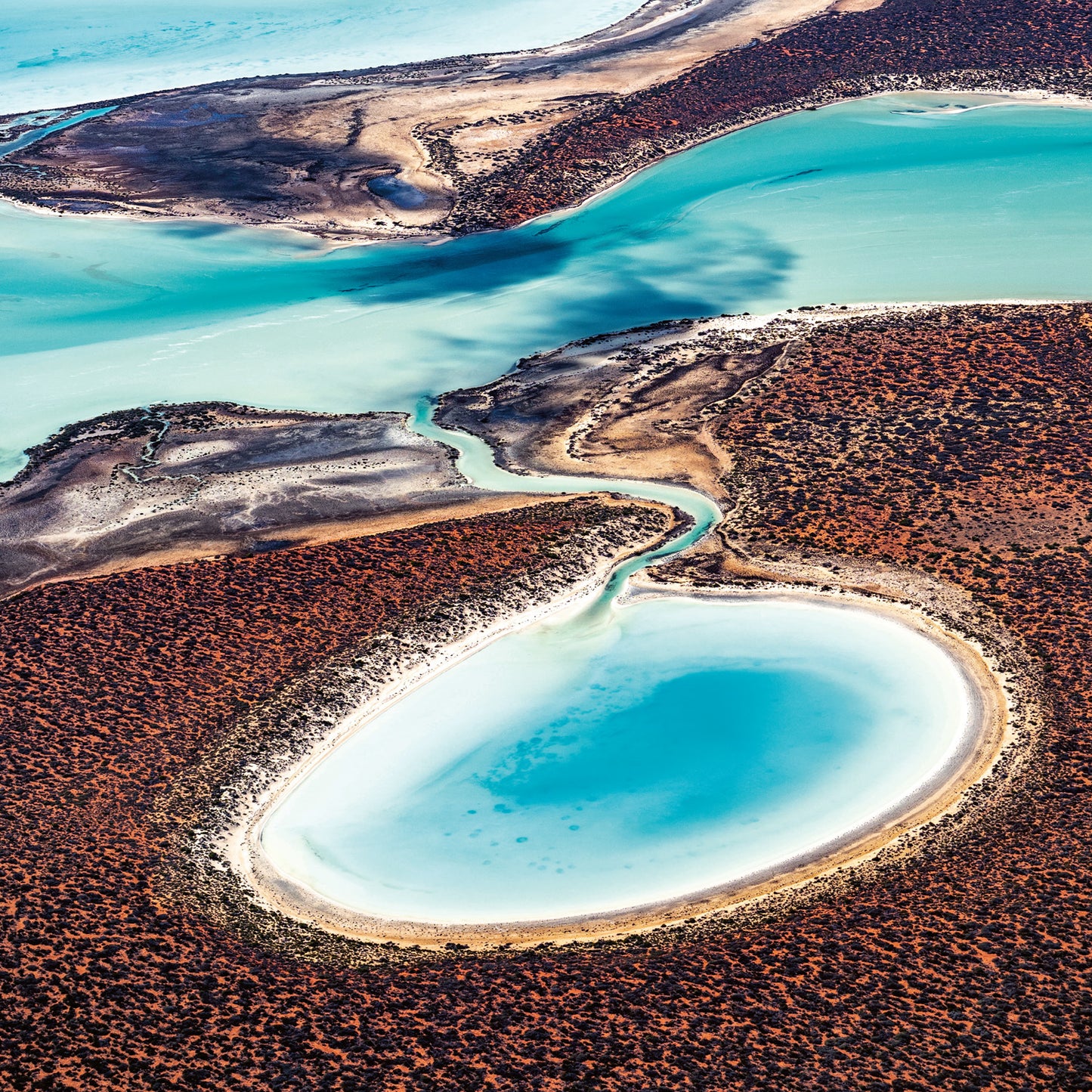 Poznámkový kalendár Naša planéta 2026, 30 x 30 cm