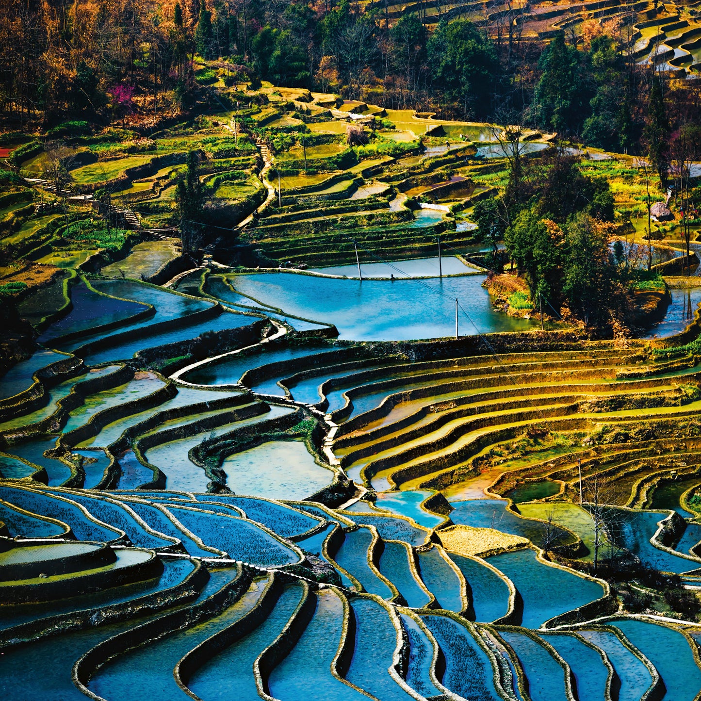 Poznámkový kalendár Naša planéta 2026, 30 x 30 cm