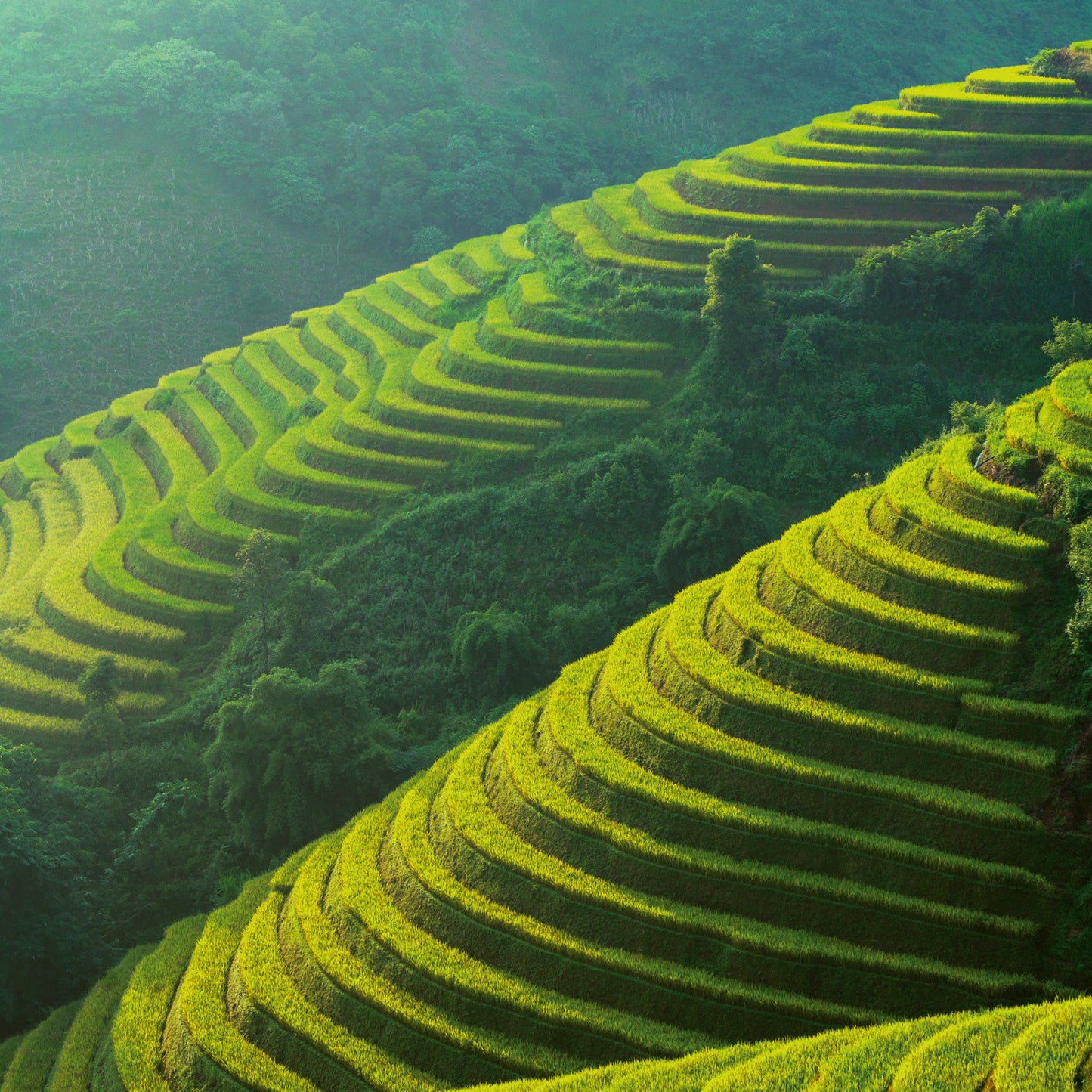 Poznámkový kalendár Naša planéta 2026, 30 x 30 cm