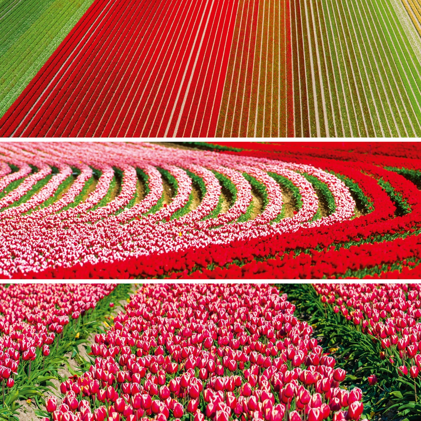 Poznámkový kalendár Paleta 2026, 30 x 30 cm