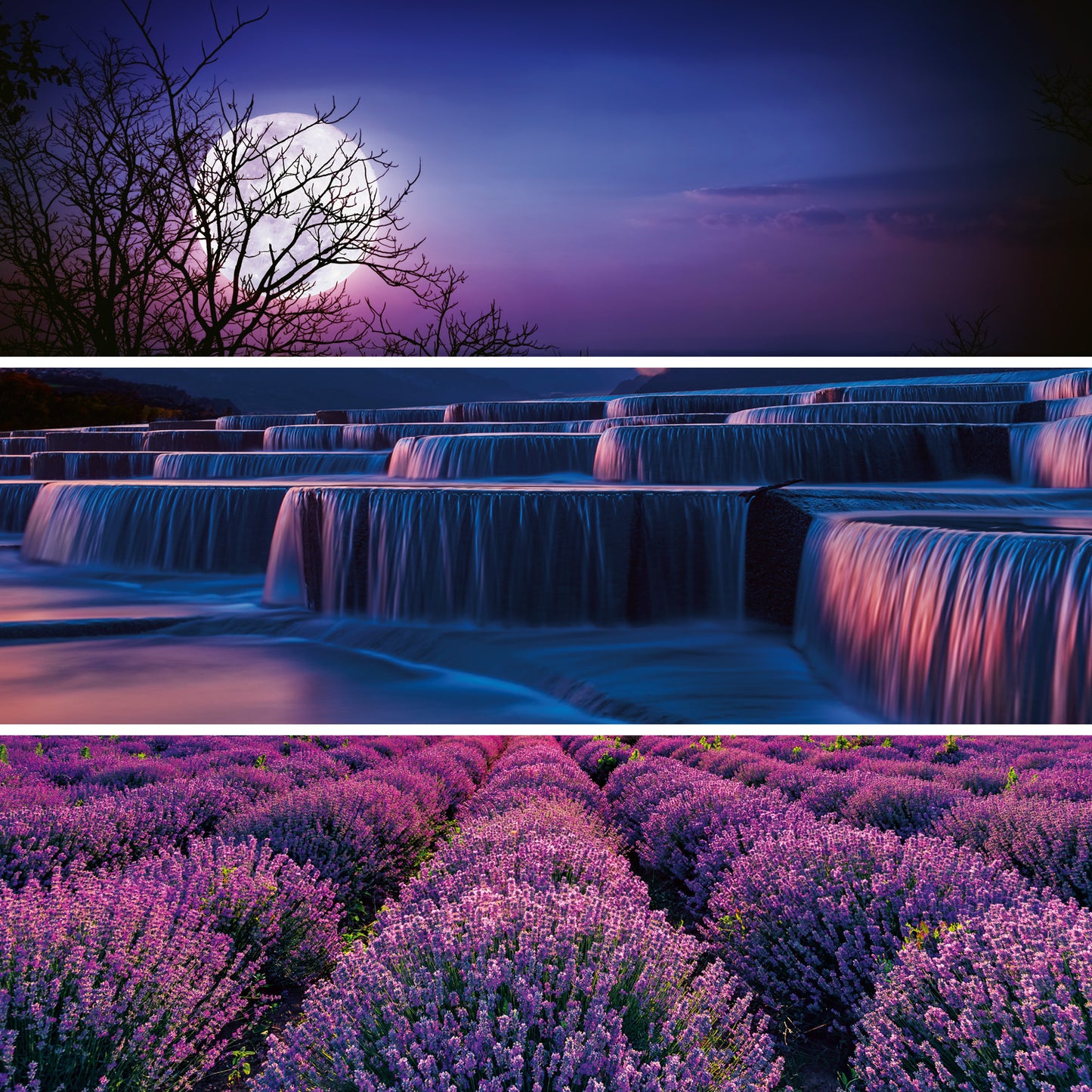 Poznámkový kalendár Paleta 2026, 30 x 30 cm