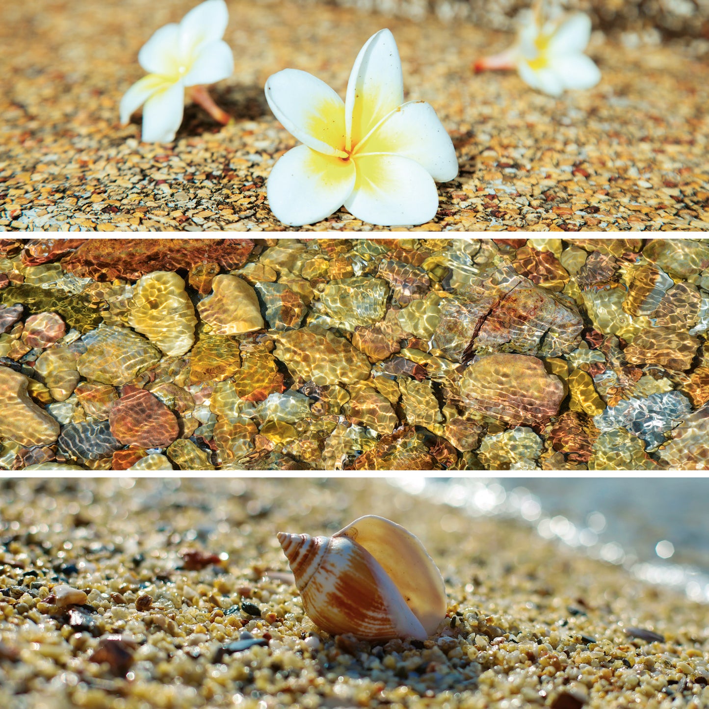 Poznámkový kalendár Paleta 2026, 30 x 30 cm