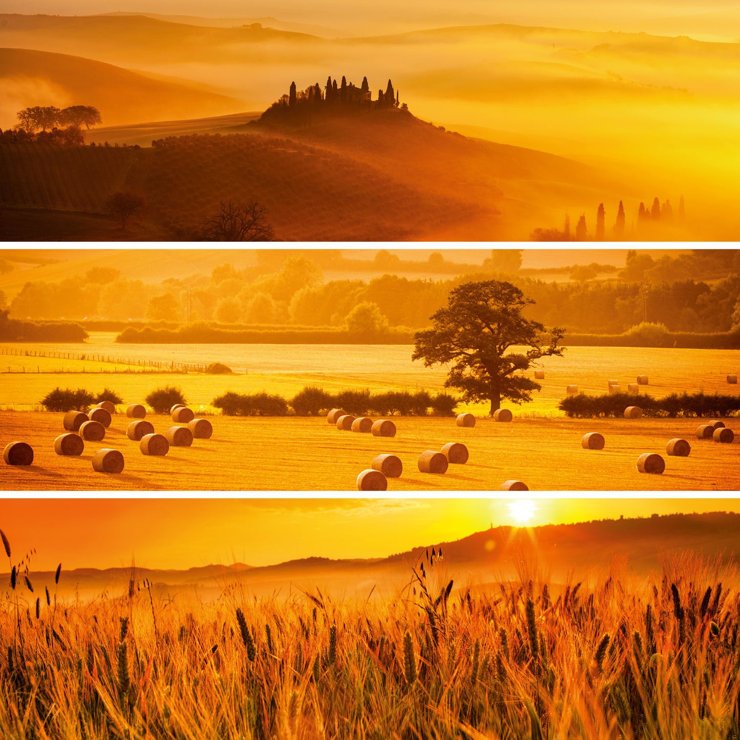 Poznámkový kalendár Paleta 2026, 30 x 30 cm