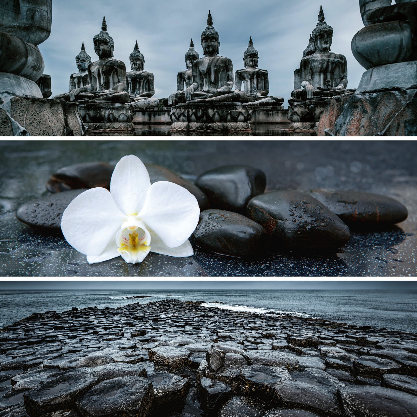 Poznámkový kalendár Paleta 2026, 30 x 30 cm