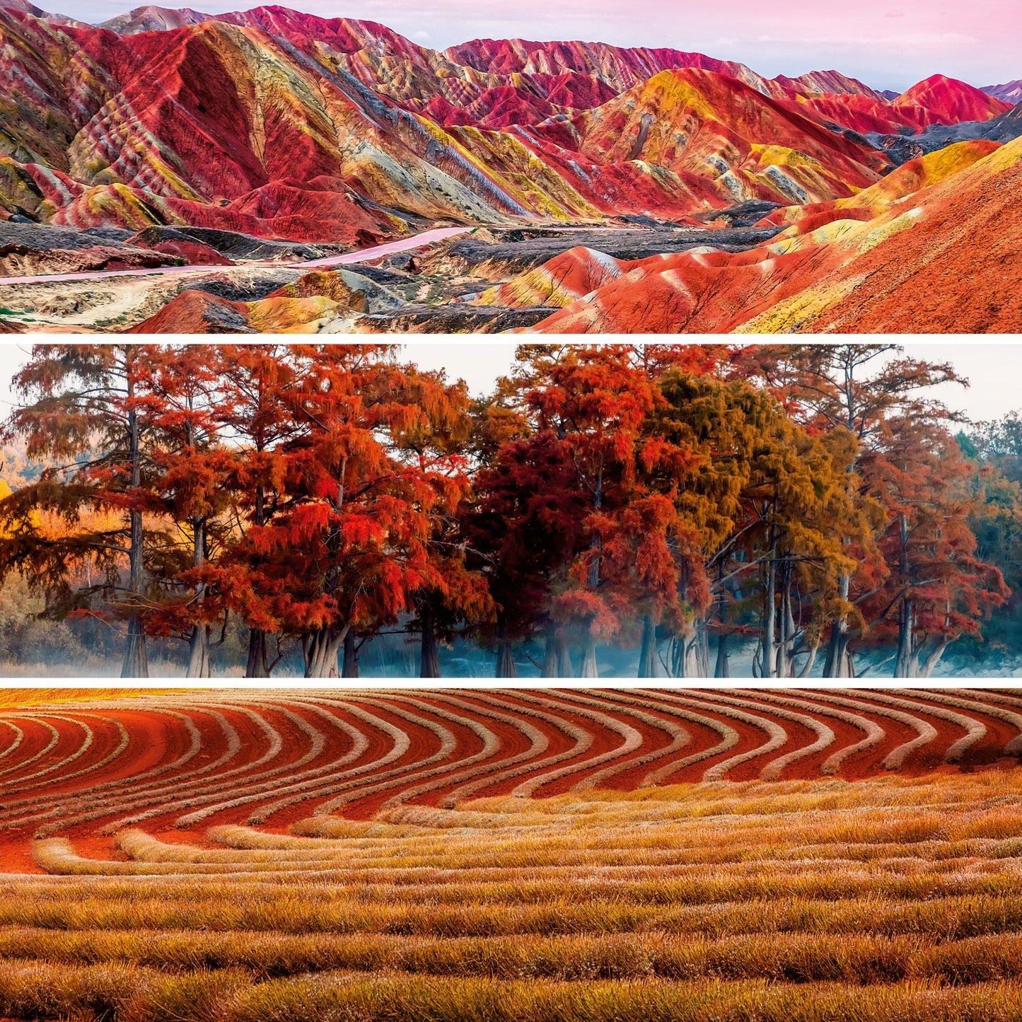 Poznámkový kalendár Paleta 2026, 30 x 30 cm