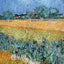 Poznámkový kalendár Vincent van Gogh 2027, 30 x 30 cm