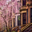 Poznámkový kalendár New York 2027, 30 x 30 cm