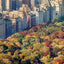 Poznámkový kalendár New York 2027, 30 x 30 cm