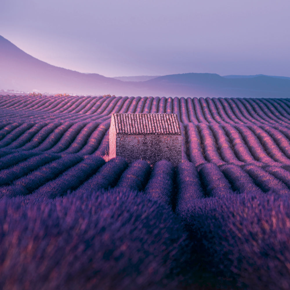 Poznámkový kalendár Provence 2027, 30 x 30 cm