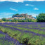 Poznámkový kalendár Provence 2027, 30 x 30 cm
