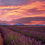 Poznámkový kalendár Provence 2027, 30 x 30 cm