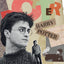 Poznámkový kalendár Harry Potter 2027, 30 x 30 cm