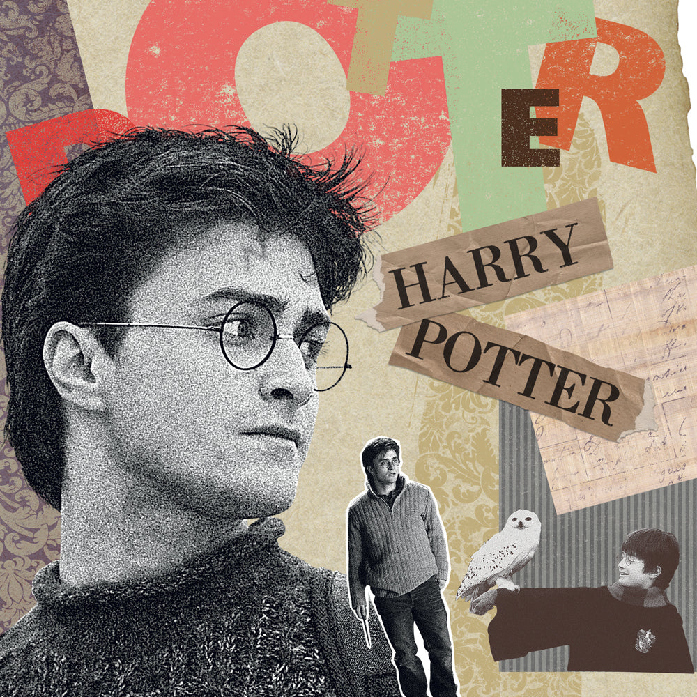 Poznámkový kalendár Harry Potter 2027, 30 x 30 cm