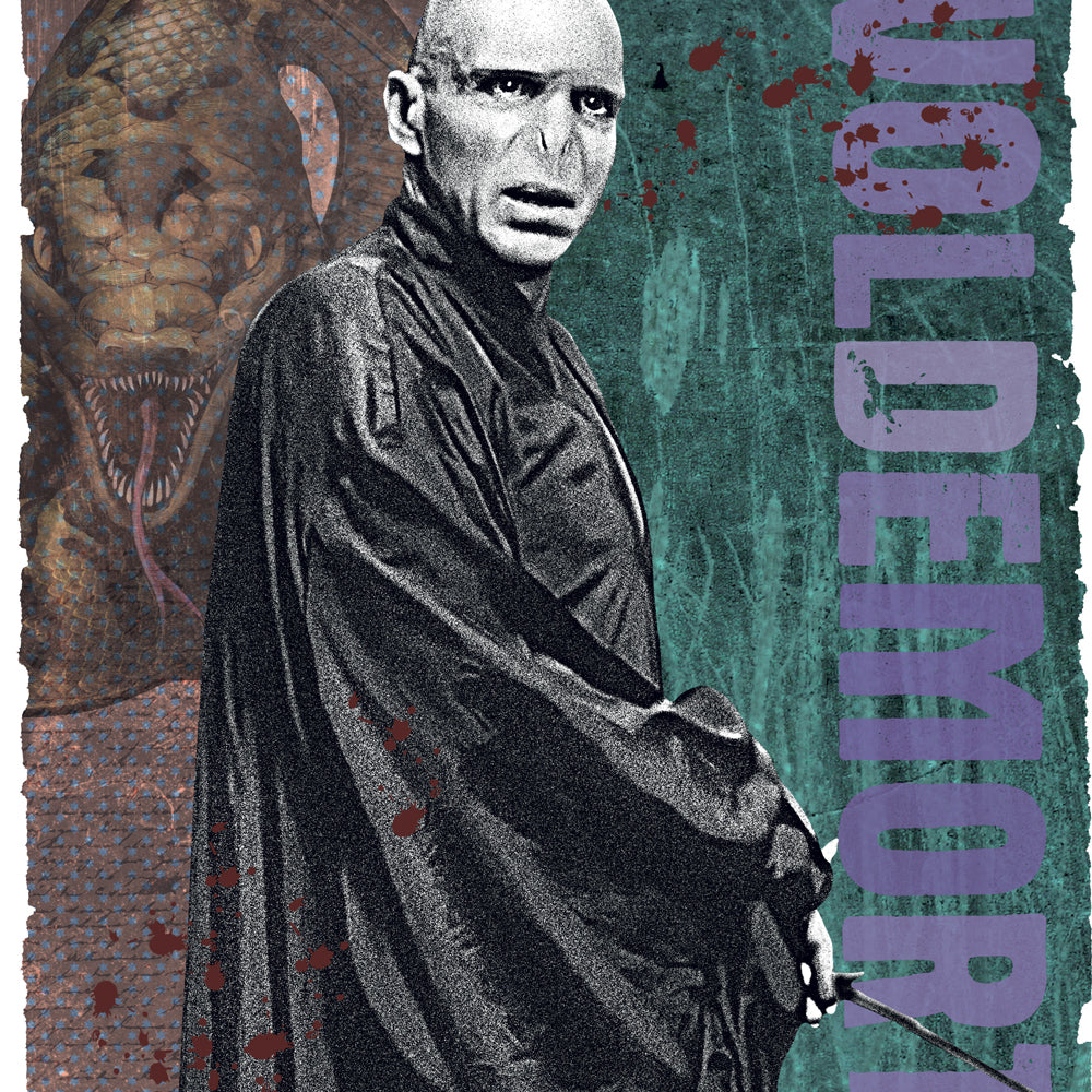 Poznámkový kalendár Harry Potter 2027, 30 x 30 cm