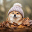 Poznámkový kalendár Happy Doge 2027, 30 x 30 cm