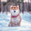 Poznámkový kalendár Happy Doge 2027, 30 x 30 cm