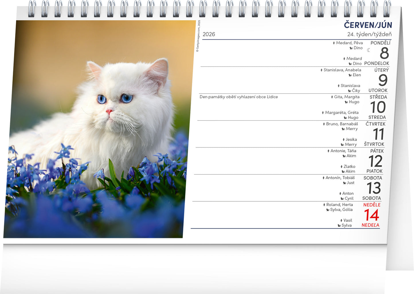 Stolový kalendár Kočky – Mačky CZ/SK 2026, 23,1 x 14,5 cm