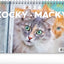 Stolový kalendár Kočky – Mačky CZ/SK 2026, 23,1 x 14,5 cm
