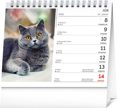 Stolový kalendár Mačky – s menami mačiek 2026, 16,5 x 13 cm