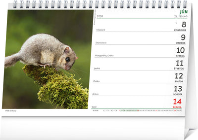 Stolový Poľovnícky kalendár 2026, 23,1 x 14,5 cm